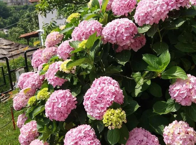 Lägenhet Gialos ηλέκτρα Kókkinon Nerón