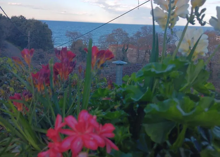 Gialos ηλέκτρα *