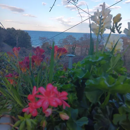 Gialos ηλέκτρα *